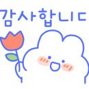 샤오시뷰티