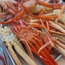 맛있게싸게 홍게대게 | 영덕 대게 가성비 좋게 싸게 먹는 법 강구항 내돈내산