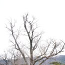 고산윤선도박물관 | 전남 해남 여행 고산윤선도유적지 박물관 숲길 힐링 데이트