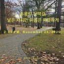 멍그루 | [후기] 심플 워크 3기, 가을에서 겨울로