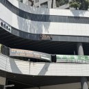 머스트왁싱앤스킨케어 | 시지브라질리언 추천 : 리주비 스킨앤왁싱에서 자극 없이 매끄럽게 케어 받고 온 솔직후기