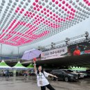 전통시장 멋내는거리 | 강원도 가을축제 2025 정선아리랑제에서 즐기는 전통의 멋