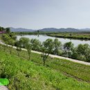 악양시장 이미지