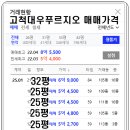 푸르지오양지공인중개사사무소 Daum카페