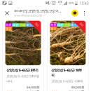 엘제이유통 이미지