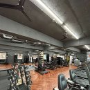 레이디 휘트니스 이미지