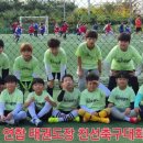 용인대 미르 태권도장 이미지