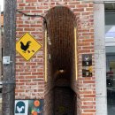 계미가 | [수원 행궁동] 행궁동 갬성 폭발 닭갈비 맛집 계미굴