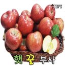 산들정