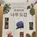 개나리약국