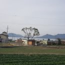 해안공인중개사사무소 이미지