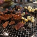 황소고집 이미지