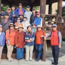 김재옥길 이미지