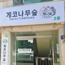 달팽이상담센터 | 청주파충류분양 크레스티드게코 분양 후기, 건강한 개체와 친절한 설명이 인상적이었던 게코나무숲