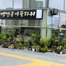 백만송이플라워 - 수원시 영통구 영통로 157 | 백만송이플라워