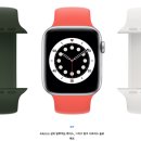 화이트 스포츠 이미지