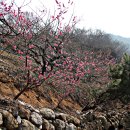 수금당 - 북구 산격로 96 | 수금당