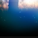 벤자민피부과의원 이미지