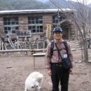 주왕산통나무집 이미지