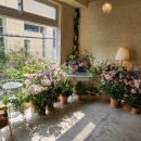 파스타찹찹 이미지