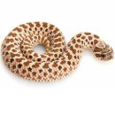 ㈜비아이티 이미지