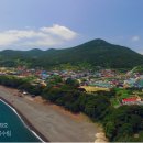 완도 미라리 상록수림 이미지