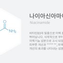 동행컴퍼니 네이버블로그