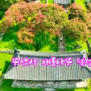 무산사 티스토리