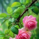 행복한날 이미지