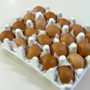 사오랑 | 계란 추천! 흘미농장 계란 2번 솔직 후기 | 신선도부터 다른 이유