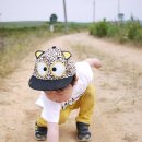 민형축사 이미지