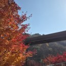 푸른숲황토방 | 효도관광으로 떠난 포레스트 리솜 이용기 #1(S50 체크인/ 해브나인스파/포토스팟 꿀팁)