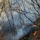 김삿갓면-6 이미지