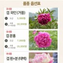 곰바우농장 이미지