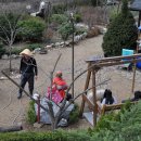 주홍민박 이미지