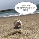 W3. 부산 웨딩 촬영, 그사순 부산점, 그가 사랑한 순간 부산점 촬영 후기