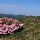 제 519차 영주 소백산 정기산행 안내 이미지