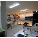 쥬니애견 이미지