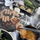 돈나맛있네 이미지