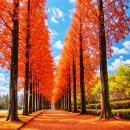 경남 진주 수목원 단풍 함안 파수리 곶감 마을 명소 소개 합니다 이미지