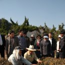 차농장 이미지