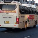뉴럭셔리여행사 이미지