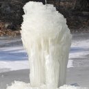 소유;숲