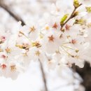 감물보건지소 이미지