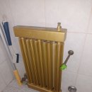 우성동백 이미지