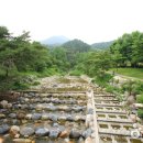 용문산 관광지 이미지