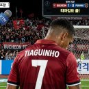 시선부천신
