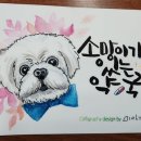 지만약국 이미지