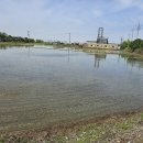 동산동-12 이미지