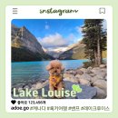 LAKE 45(레이크 45) | 강아지랑 캐나다 레이크 루이스 완벽 가이드: 셔틀, 주차, 카누,하이킹코스